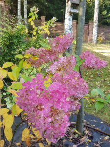 20181007_102159.jpg