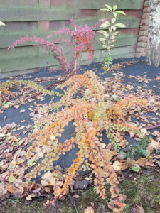 20181007_102440.jpg