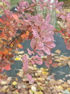 20181007_102603.jpg