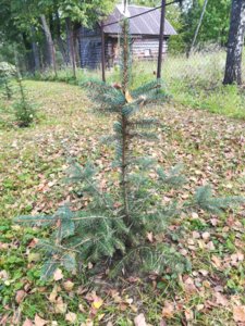 IMG_20180915_141515.jpg