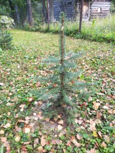 IMG_20180915_141534.jpg