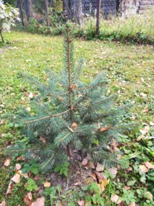 IMG_20180915_141542.jpg