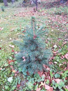 IMG_20180915_141600.jpg