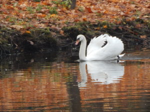 DSCN9025.JPG