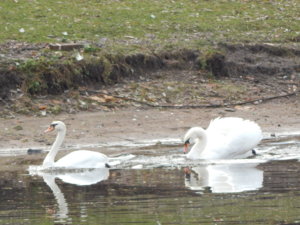 DSCN9027.JPG