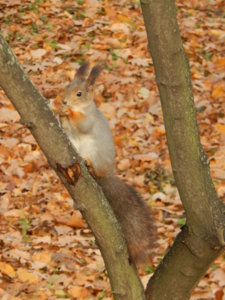 DSCN9042.JPG
