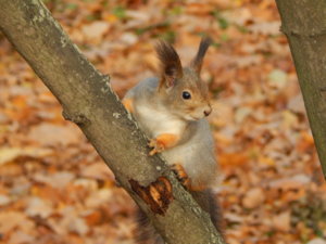 DSCN9045.JPG