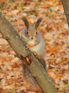 DSCN9046.JPG