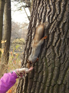 DSCN9052.JPG