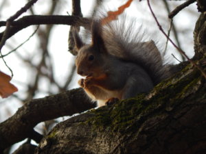 DSCN9053.JPG