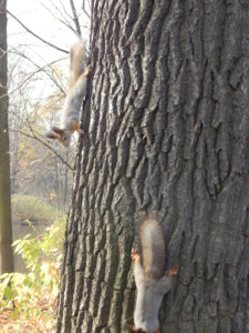 DSCN9054.JPG