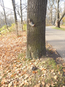 DSCN9058.JPG