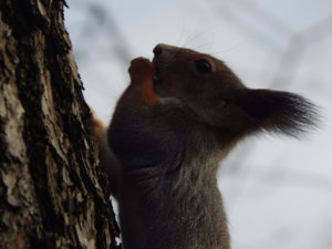 DSCN9060.JPG