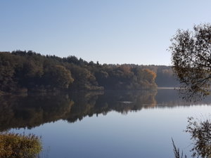 20181012_095850.jpg