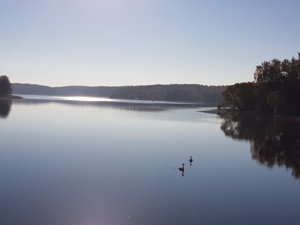 20181012_100150.jpg