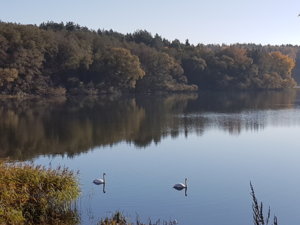 20181012_100350.jpg