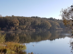 20181012_100331.jpg