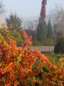 20181013_092306.jpg
