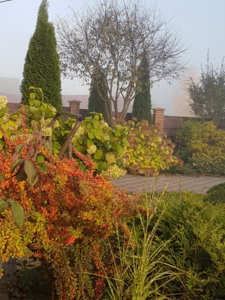 20181013_092237.jpg