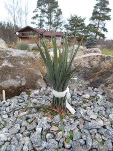 DSCN9072.JPG