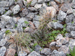 DSCN9073.JPG