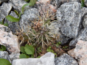 DSCN9074.JPG