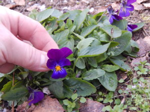 DSCN9076.JPG