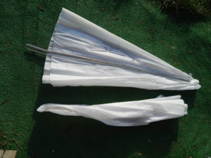 DSCN9081.JPG