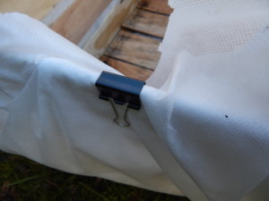 DSCN9091.JPG