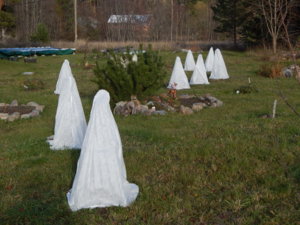 DSCN9084.JPG