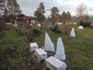 DSCN9093.JPG