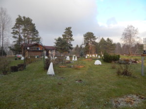DSCN9094.JPG