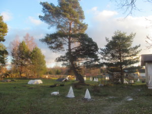 IMG_9101.JPG