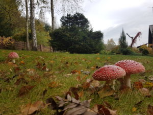 20181009_101141.jpg