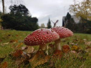 20181009_101209.jpg