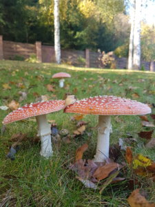 20181011_101905.jpg