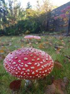20181011_102012.jpg