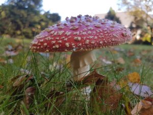 20181011_102223.jpg