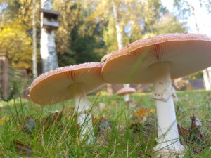 20181011_102427.jpg
