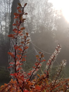 20181013_092438.jpg