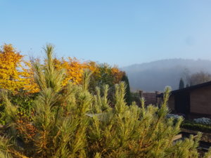 20181013_092906.jpg