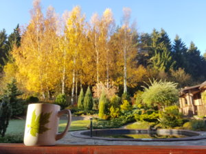 20181020_092455.jpg