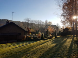 20181020_090907.jpg