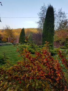 20181013_170932.jpg