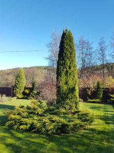20181020_112318.jpg