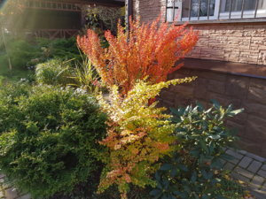 20171016_101858.jpg