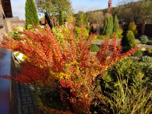 20171016_102157.jpg