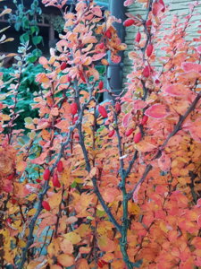 20171020_080644.jpg