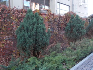 DSCN6804.JPG