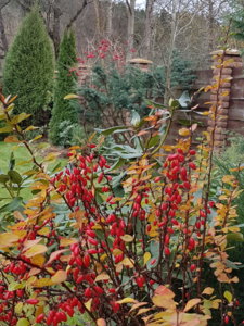 20181028_135834.jpg